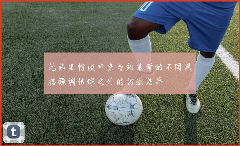 范弗里特谈申京与约基奇的不同风格强调传球之外的打法差异